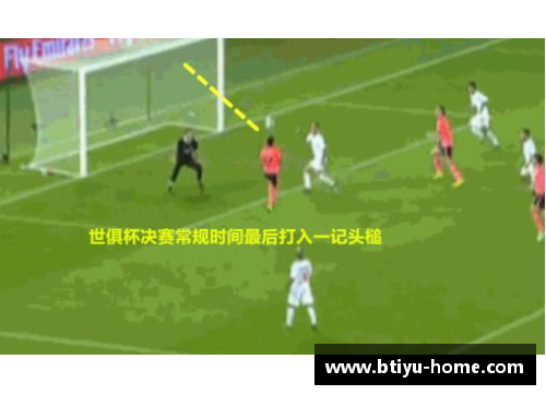 维达：从球场巅峰到人生新篇章